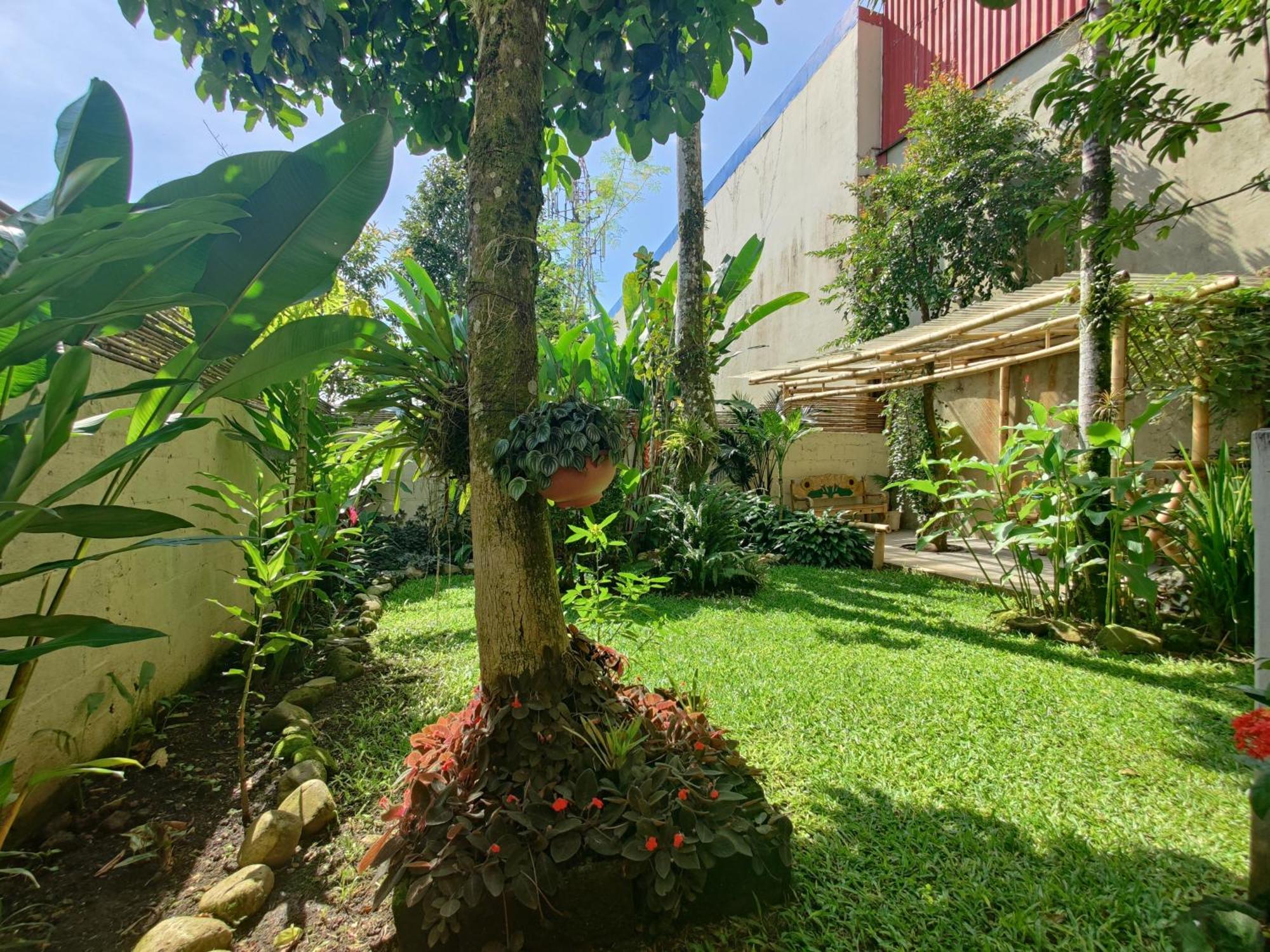 Casa De Lis Hotel & Tourist Info Centre Турриальба Экстерьер фото