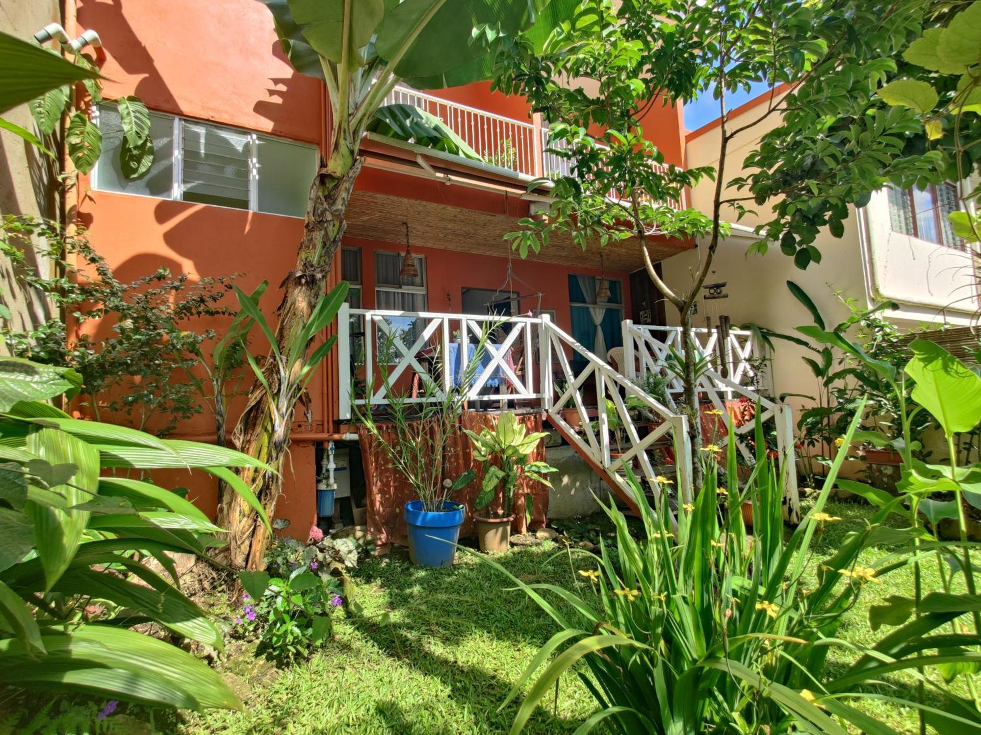 Casa De Lis Hotel & Tourist Info Centre Турриальба Экстерьер фото